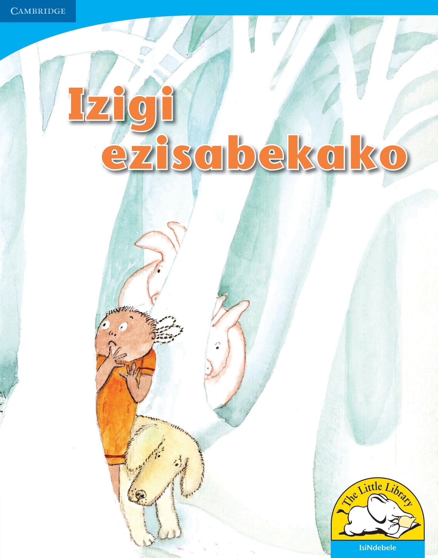 Izigi ezisabekako (Big Book version) ISBN/SKU: 9780521156080