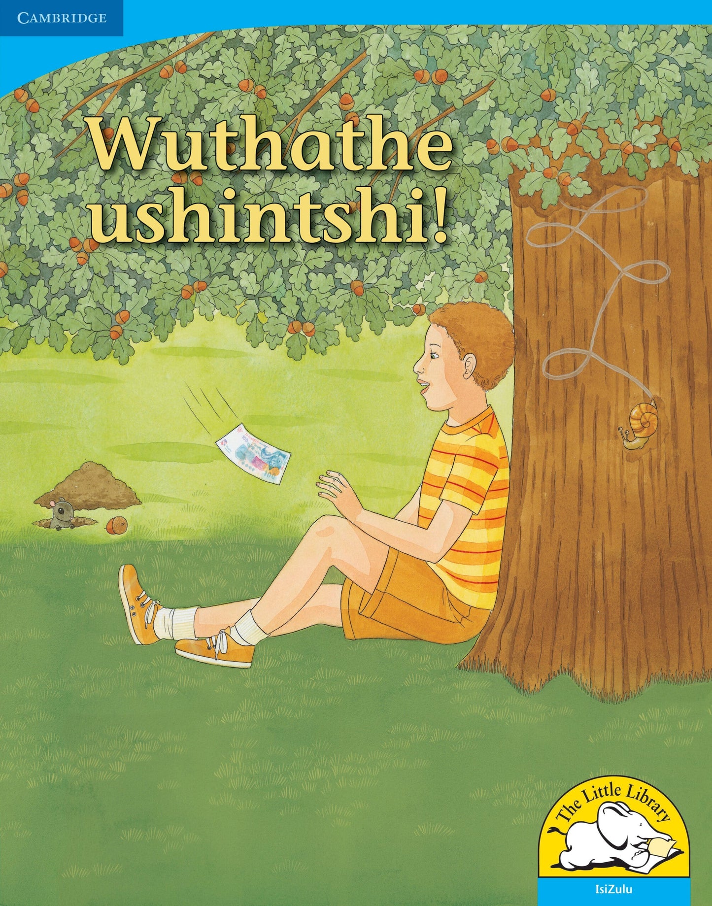 Wuthathe ushintshi! (Big Book version) ISBN/SKU: 9780521156752