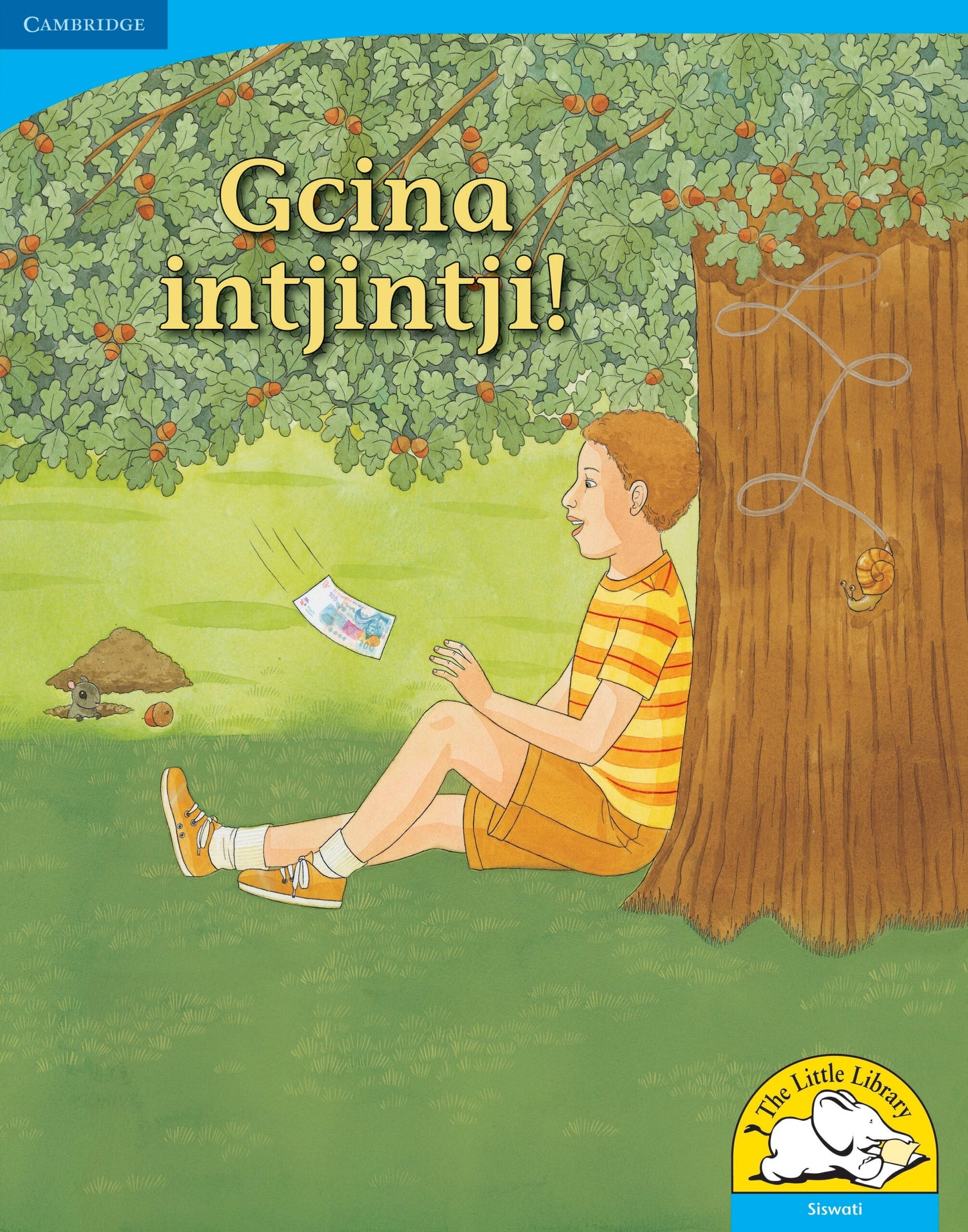 Gcina intjintji! (Big Book version) ISBN/SKU: 9780521156783