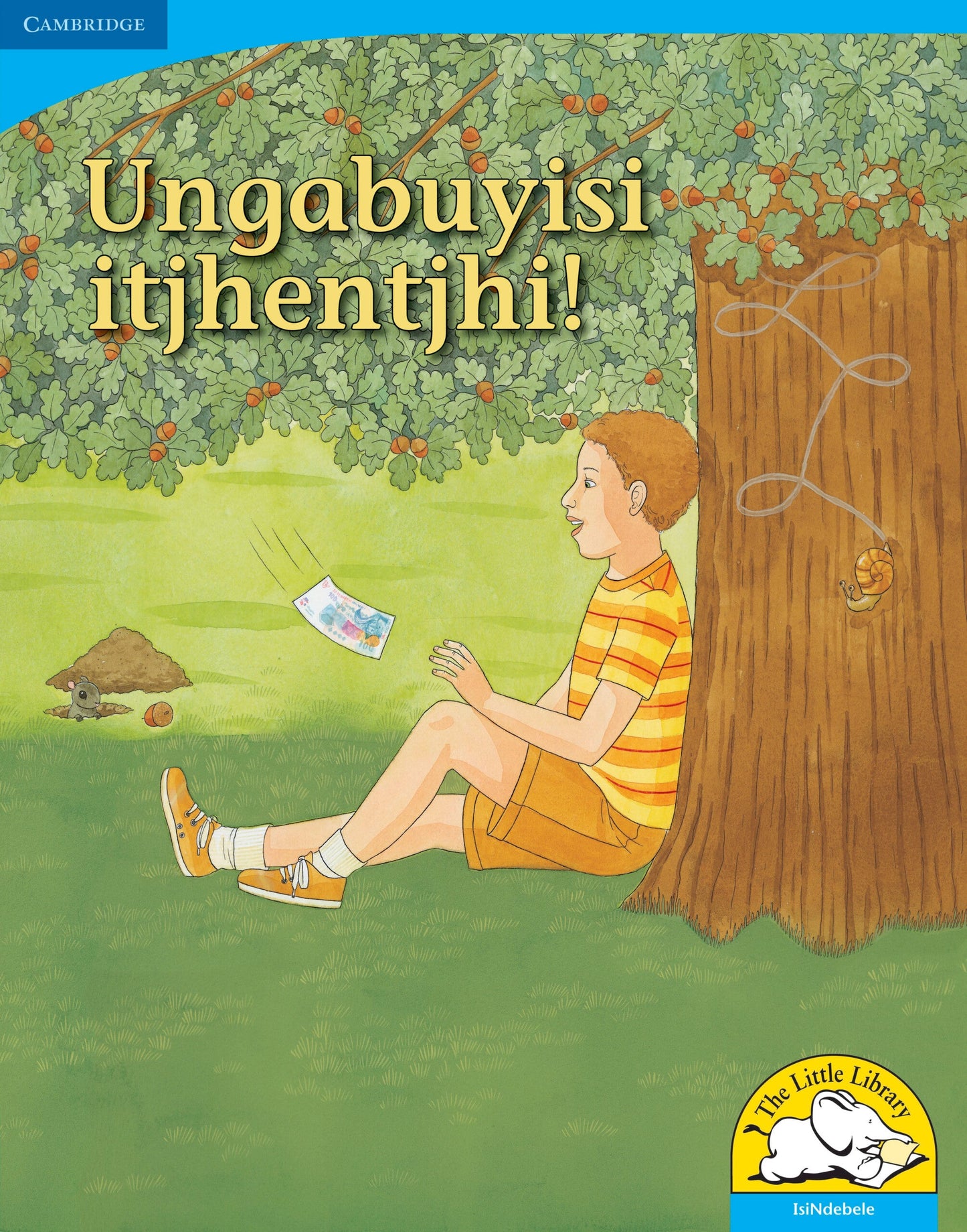 Ungayibuyisi itjhentjhi! (Big Book version) ISBN/SKU: 9780521156813
