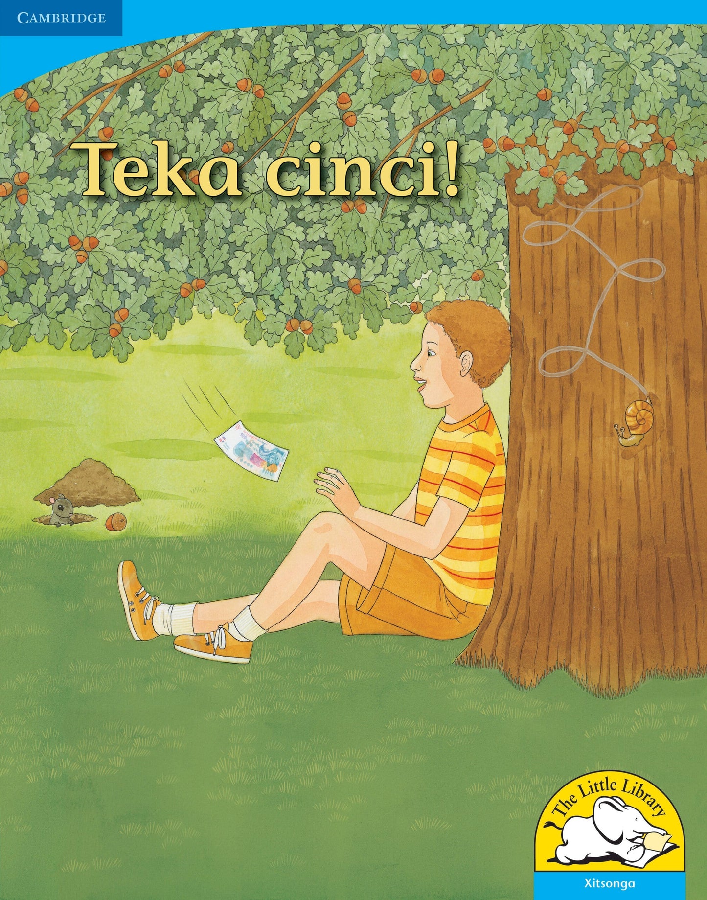 Teka cinci! (Big Book version) ISBN/SKU: 9780521156837