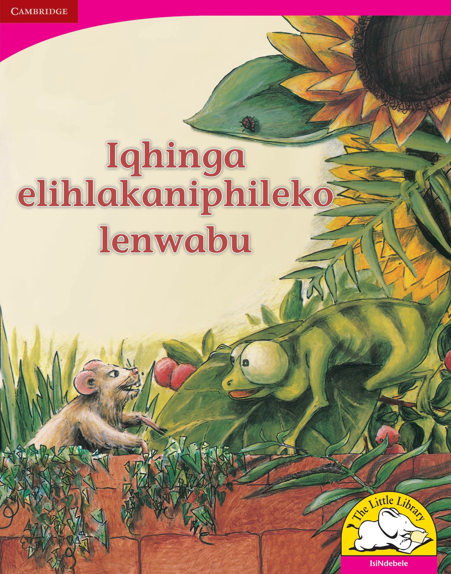 Iqhinga elihlakaniphileko lenwabu (Big Book version) ISBN/SKU: 9780521164627