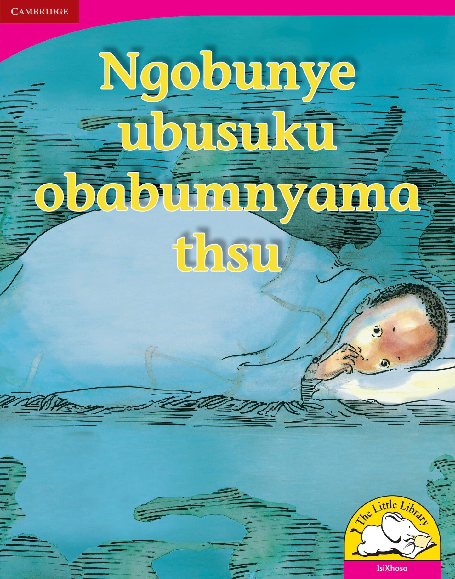 Ngobunye ubusuku obabumnyama thsu (Big Book version) ISBN/SKU: 9780521165044