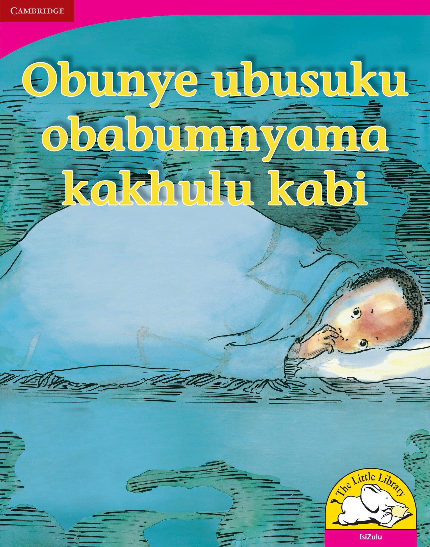 Obunye ubusuku obabumnyama kakhulu kabi (Big Book version) ISBN/SKU: 9780521165051