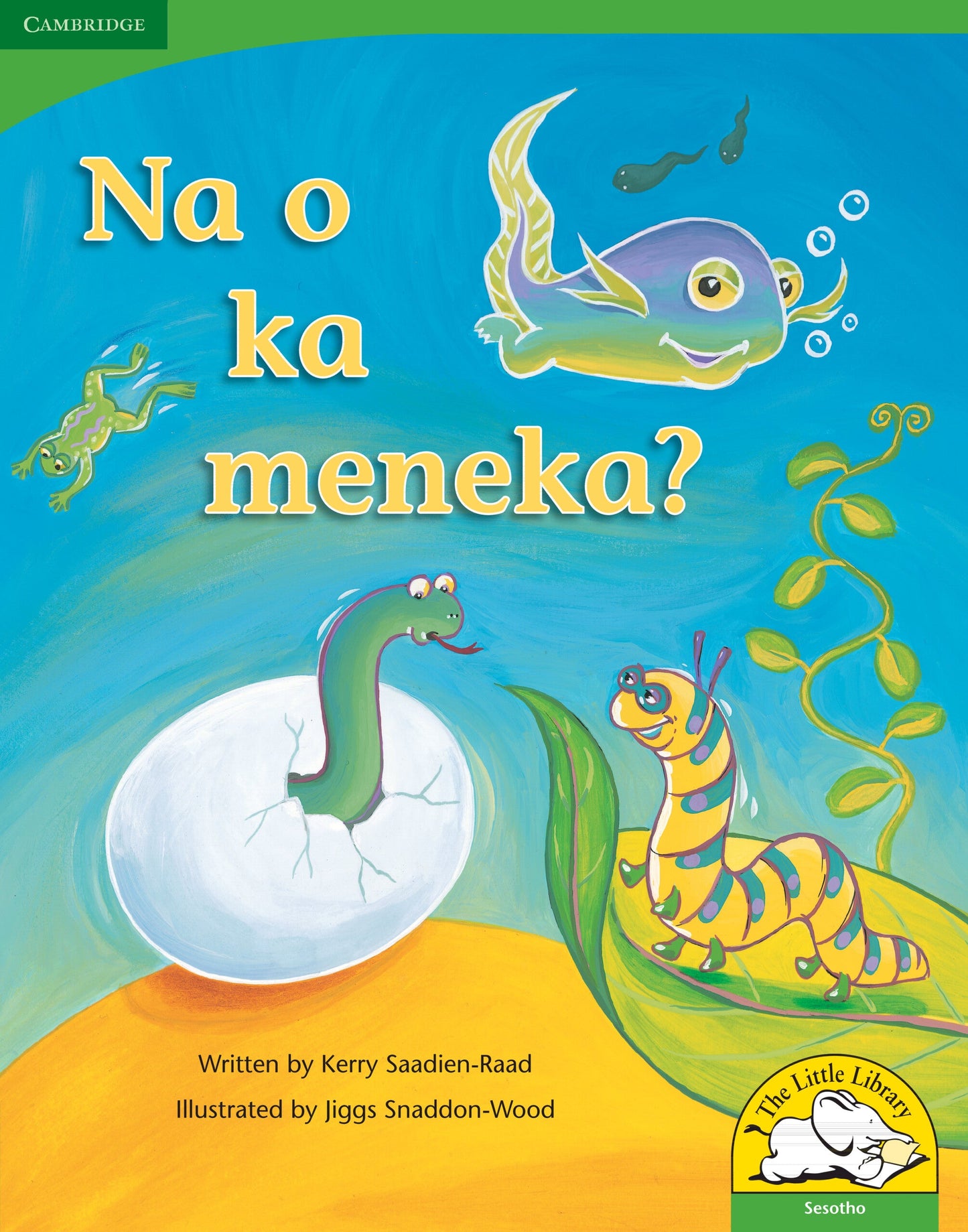Na o ka meneka? (Big Book version) ISBN/SKU: 9780521167505
