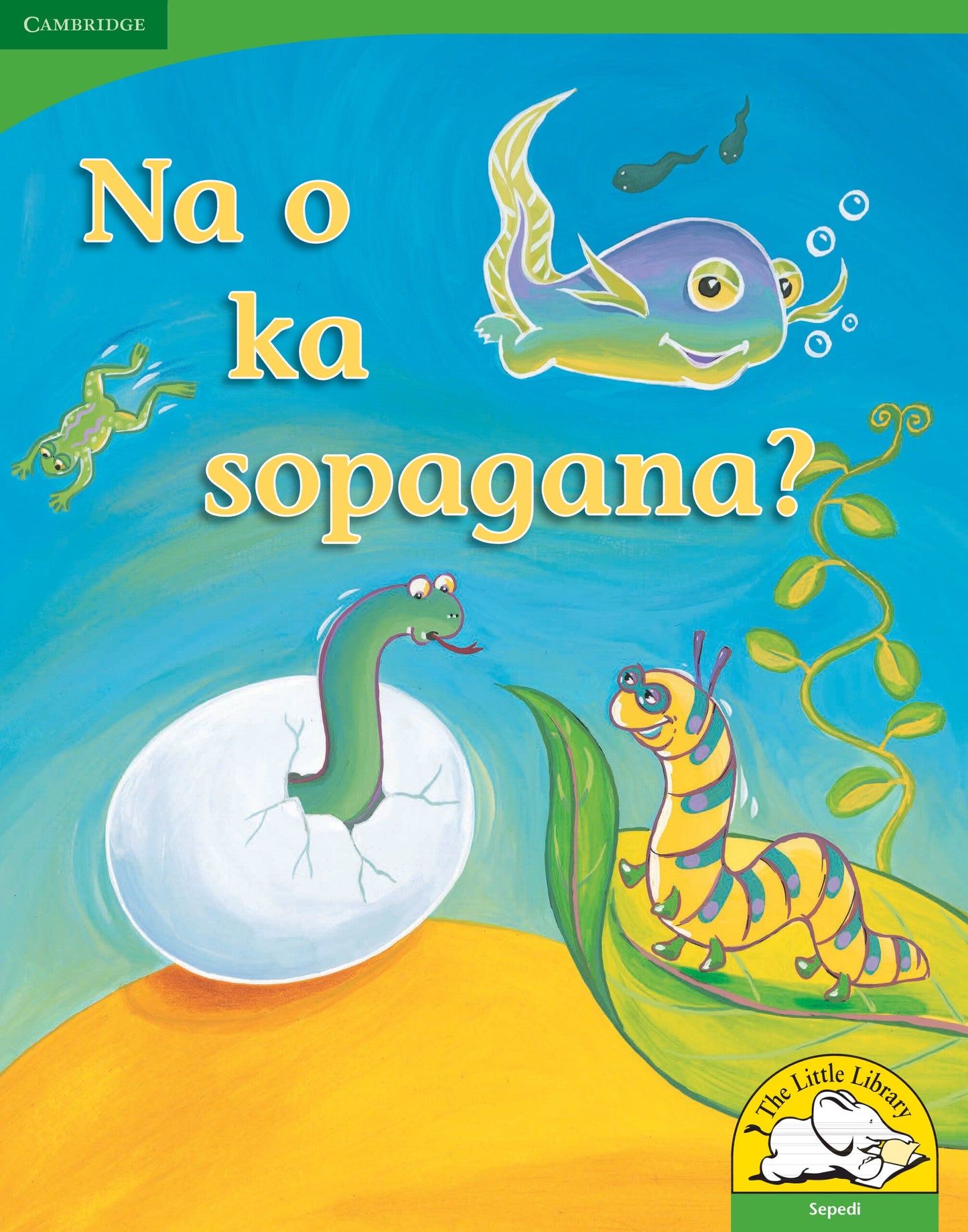Na o ka sopagana? (Big Book version) ISBN/SKU: 9780521167536