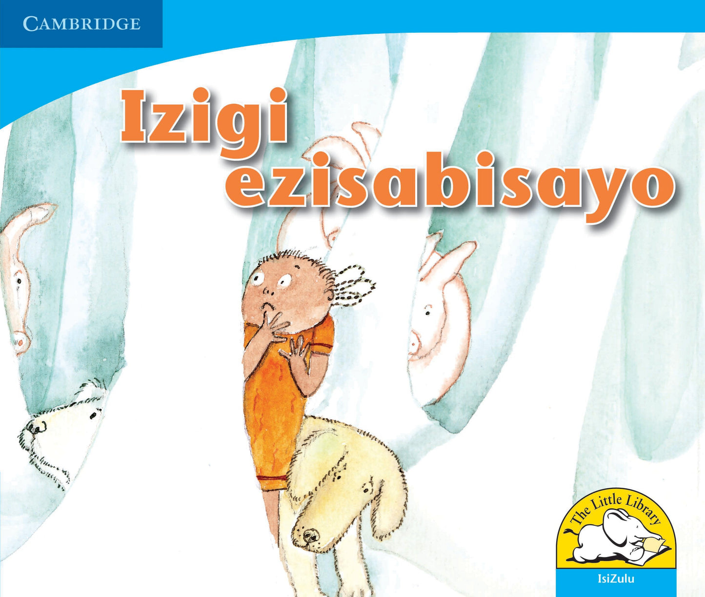 Izigi ezisabisayo ISBN/SKU: 9780521722636