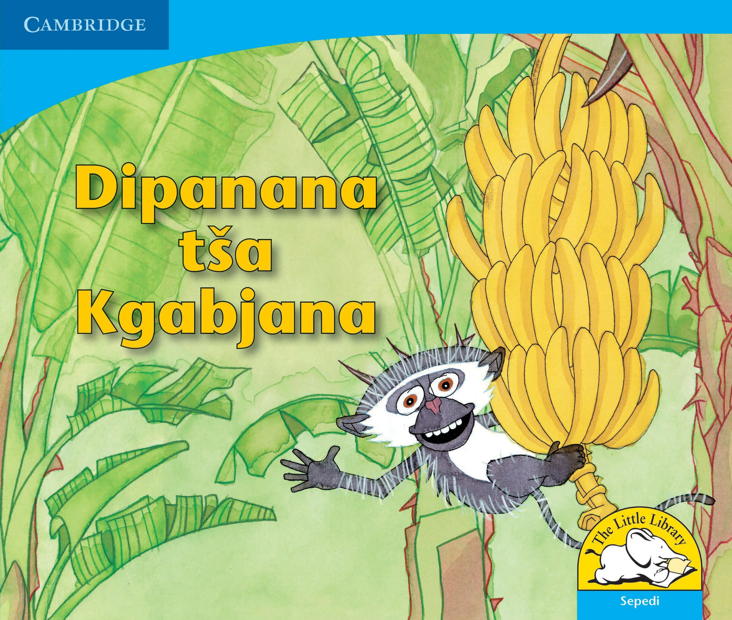 Dipanana tsa Kgabjana ISBN/SKU: 9780521722872