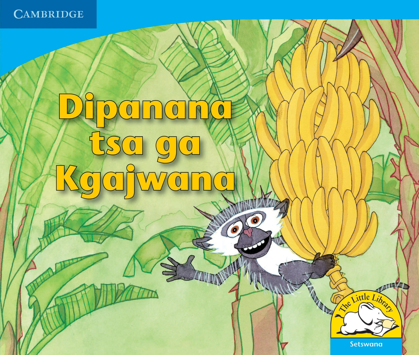Dipanana tsa ga Kgajwana ISBN/SKU: 9780521722889