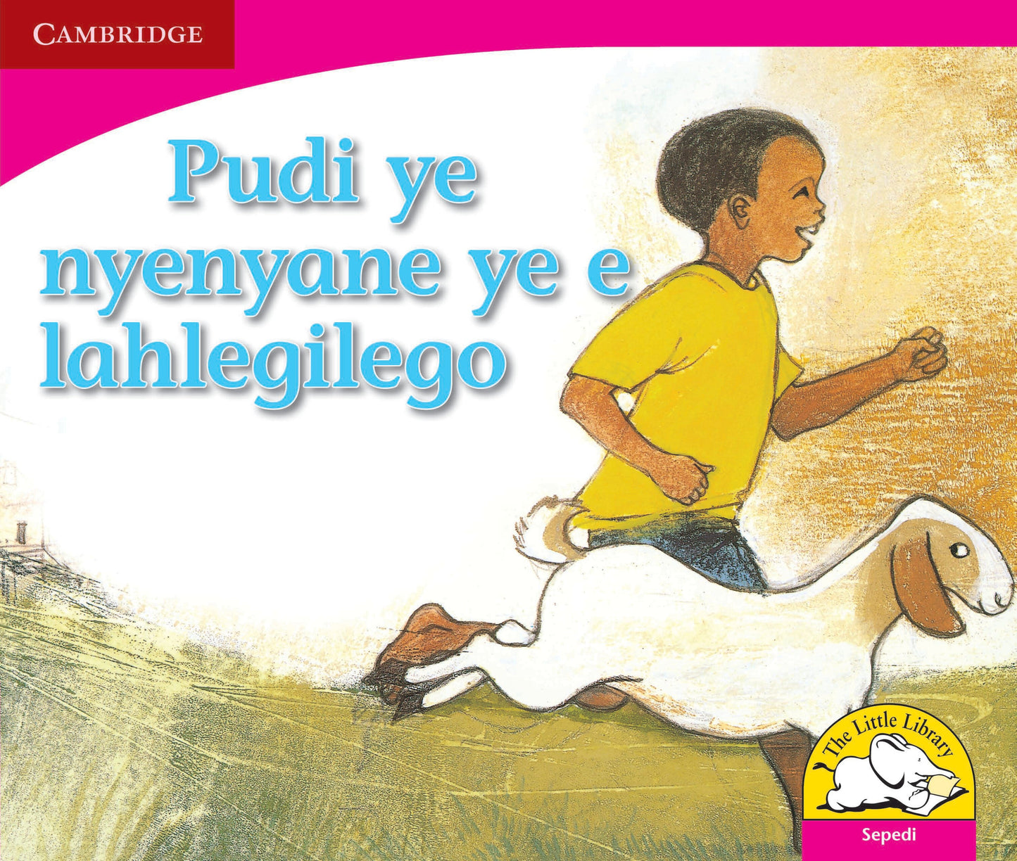 Pudi ye nyenyane ye e lahlegilego ISBN/SKU: 9780521724449