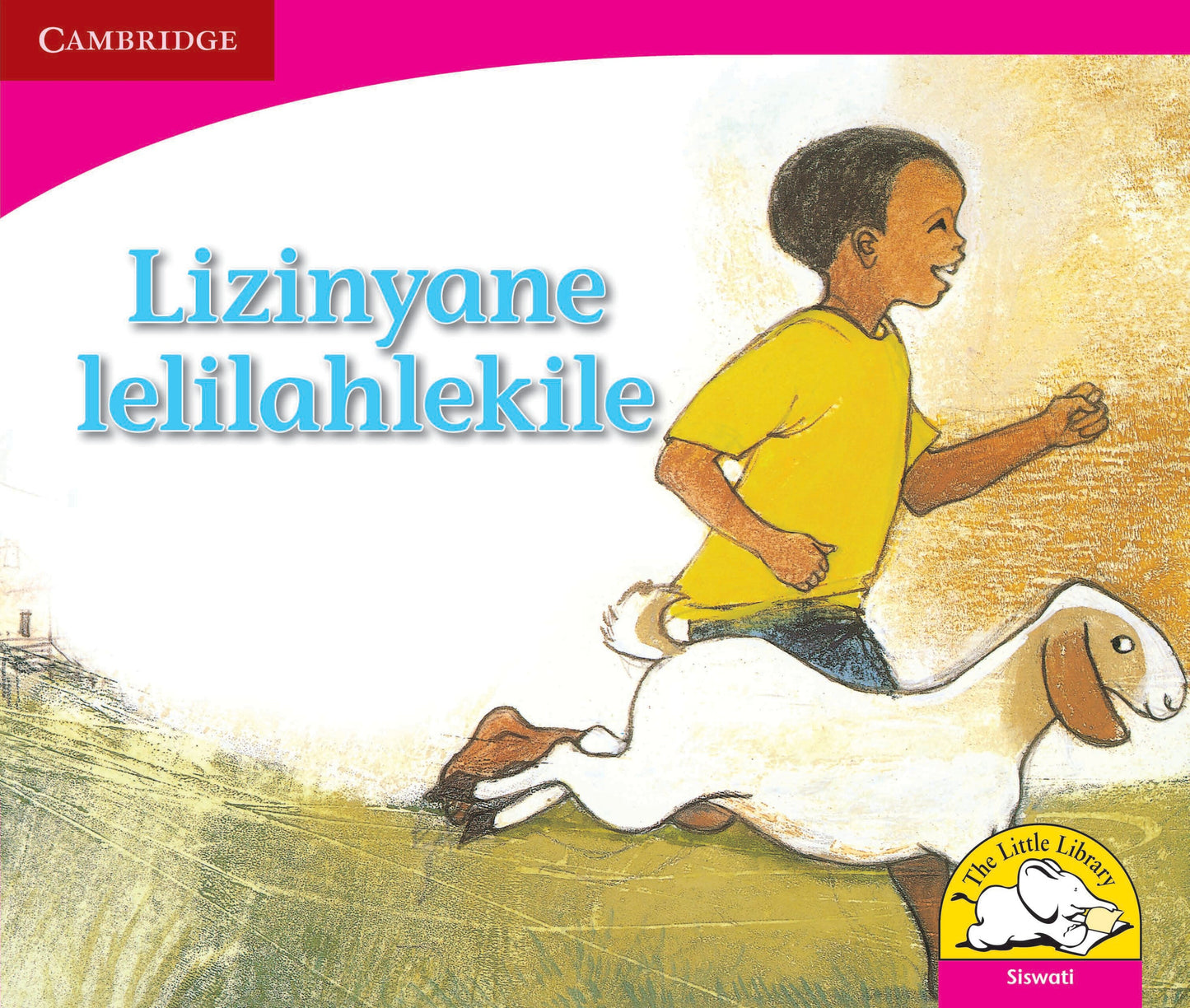 Lizinyane lelilahlekile ISBN/SKU: 9780521724470