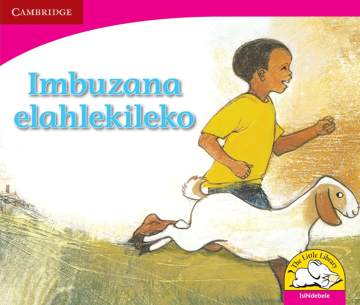 Imbuzana elahlekileko ISBN/SKU: 9780521724487