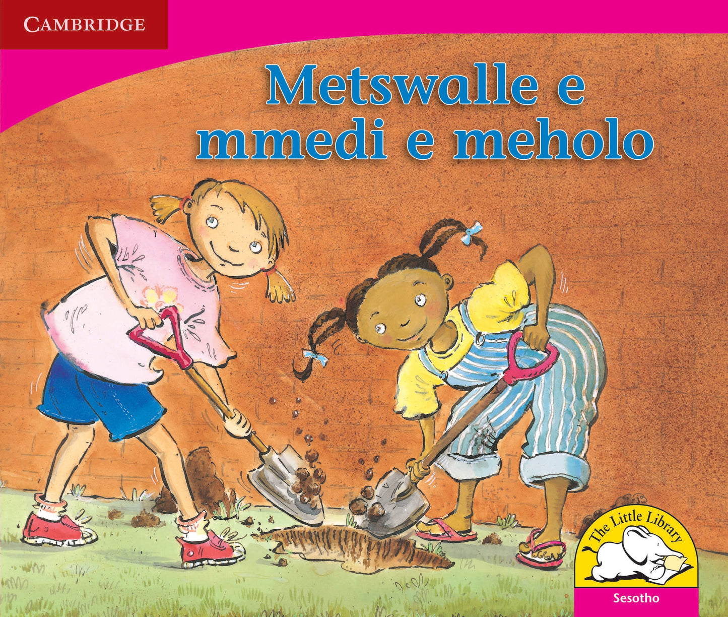 Metswalle e mmedi e meholo ISBN/SKU: 9780521725002