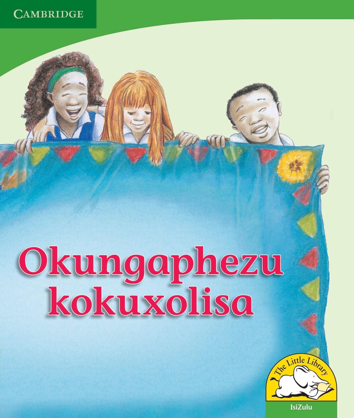 Okungaphezu kokuxolisa ISBN/SKU: 9780521726214