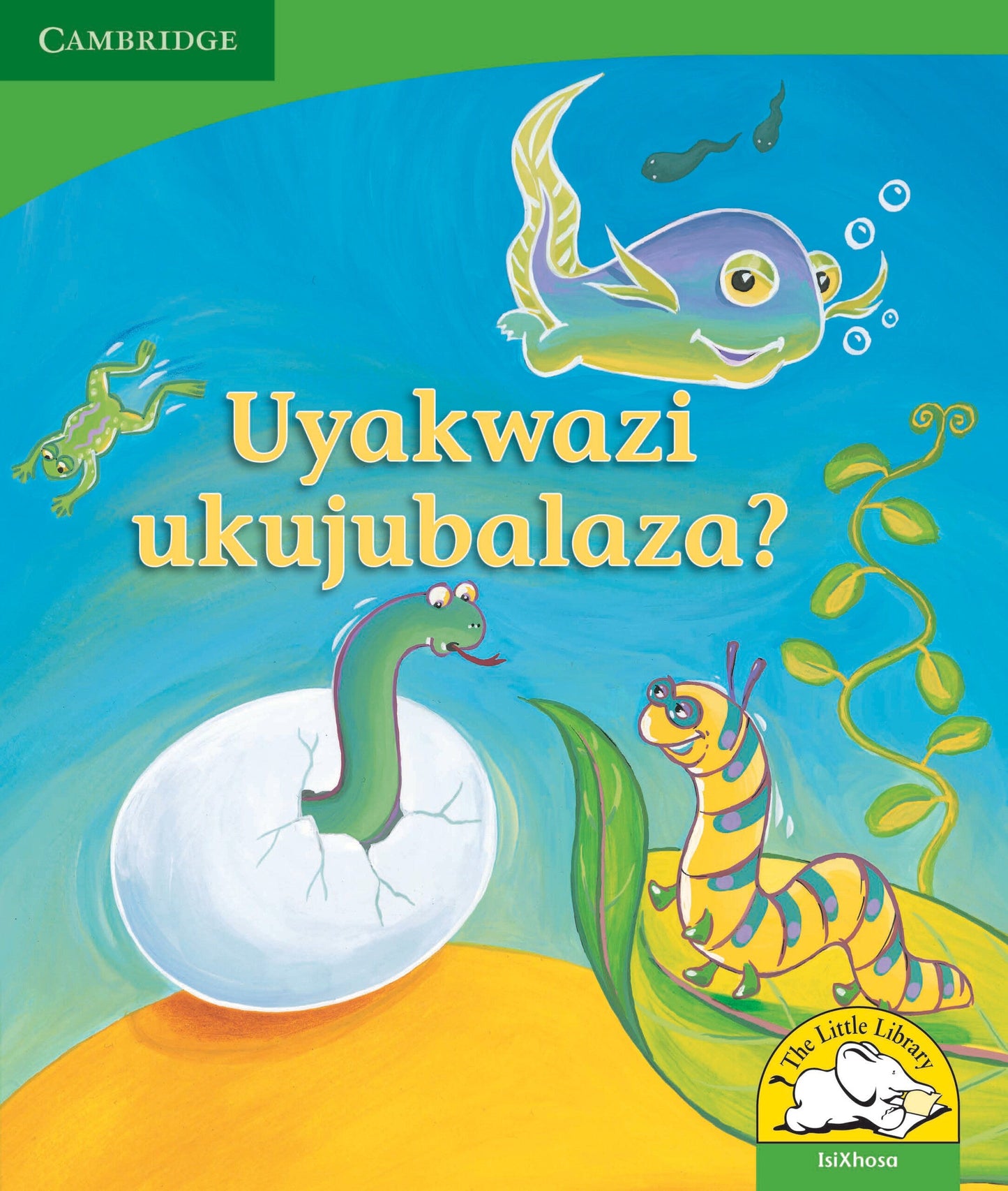 Uyakwazi ukujubalaza? ISBN/SKU: 9780521726306