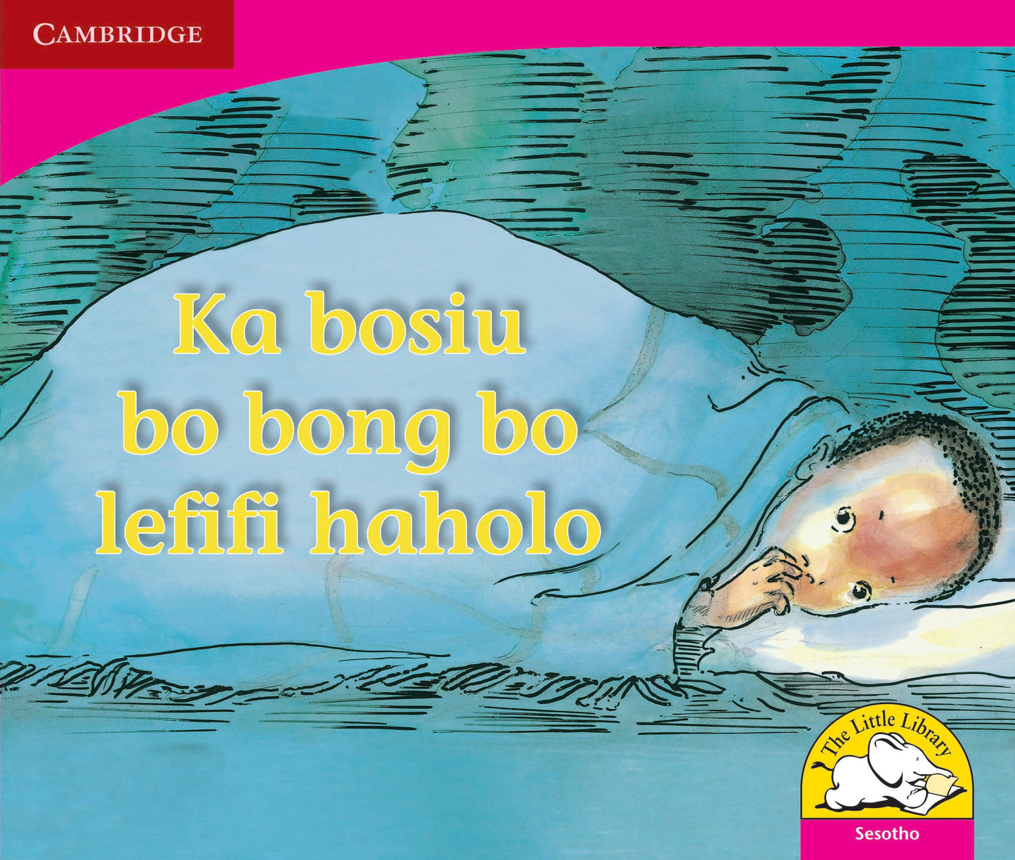 Ka bosiu bo bong bo lefifi haholo ISBN/SKU: 9780521727372