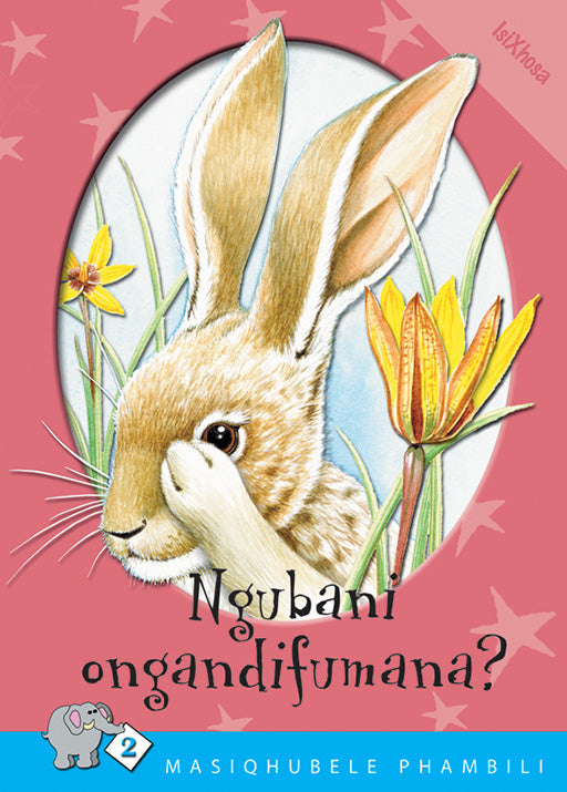Masiqhubele Phambili Series Level 2 Book 3 Ngubani ... ISBN/SKU: 9780796017741