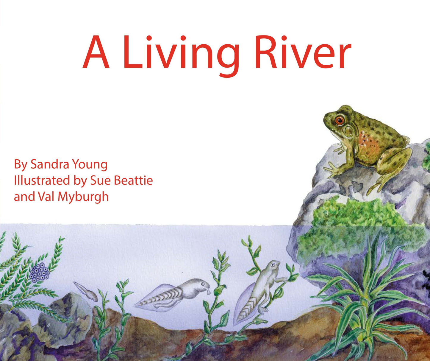 Jumbo Information Reader: Red - A Living River ISBN/SKU: 9780796024022