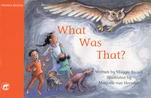 Jumbo Reader Foundation Phase Orange: What Was That? ISBN/SKU: 9780796028389