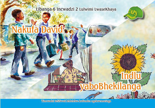 Siswati Graded Reader:Gr6 Bk 2 Nakufa David ... ISBN/SKU: 9780796043351