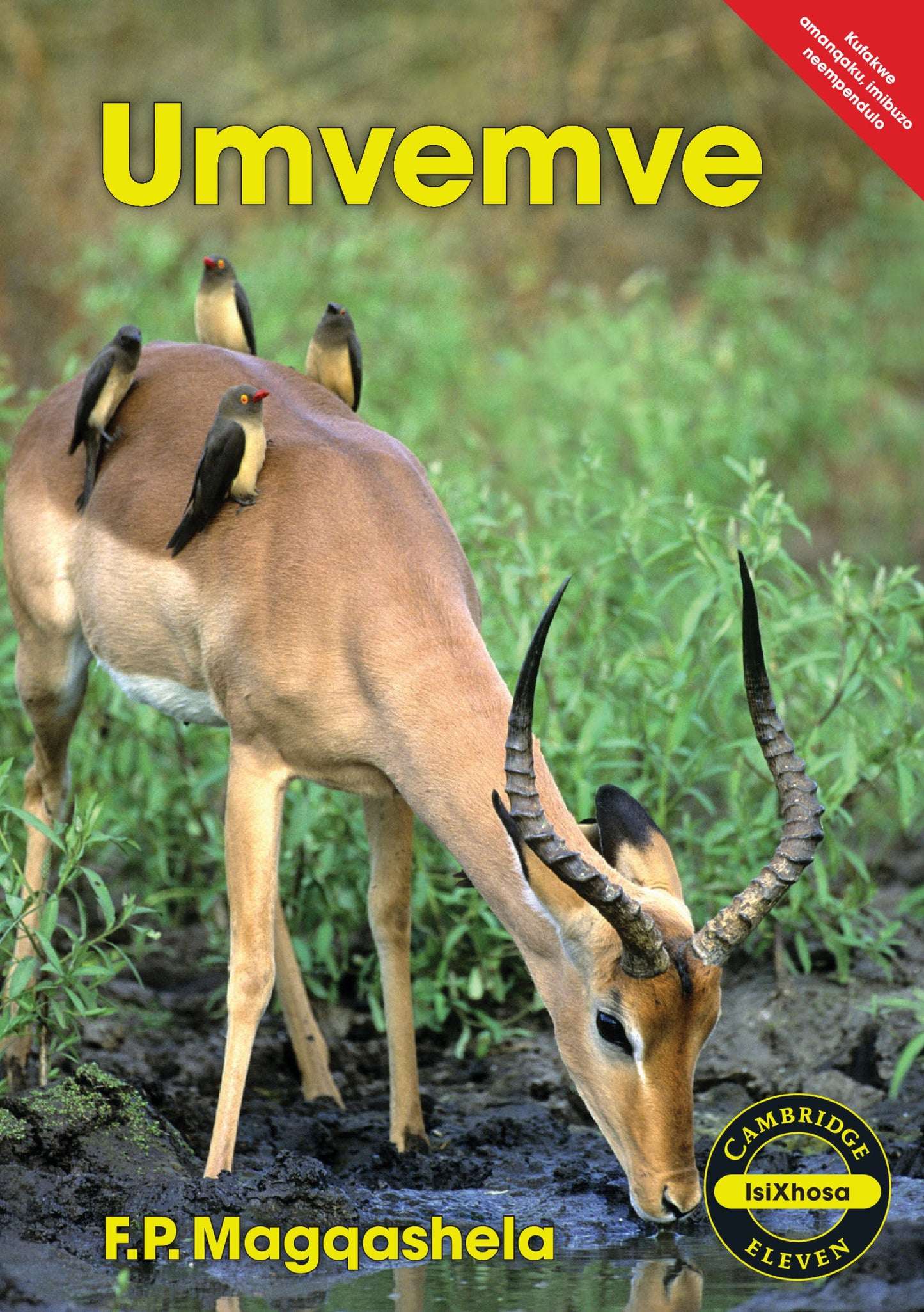 Umvemve (IsiXhosa) ISBN/SKU: 9781107524590