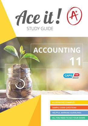 Ace It! Accounting Grade 11 ISBN/SKU: 9781920356590