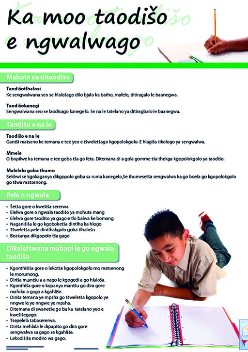 Chart: How To Write An Essay (Sepedi) A2 (Flat) ISBN/SKU: 9781920586720