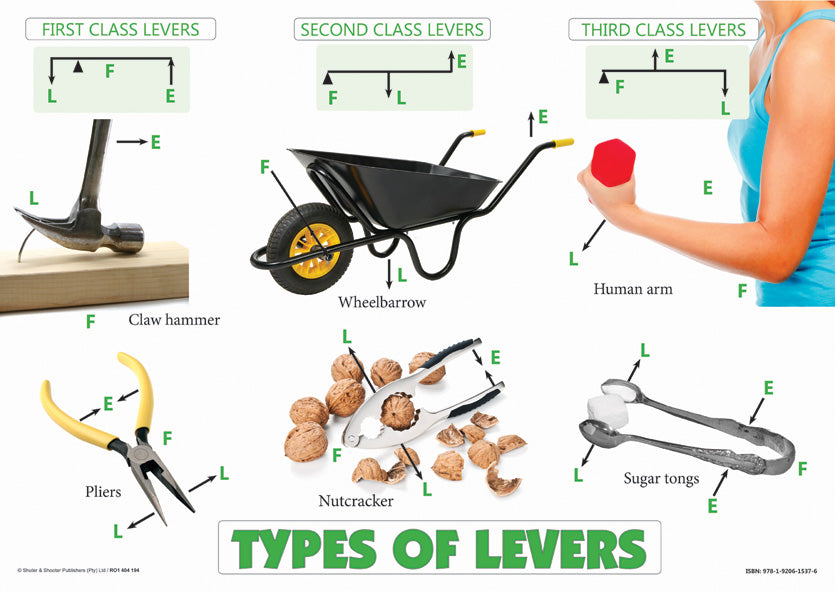 Chart: Types Of Levers A2 (Flat) ISBN/SKU: 9781920615376