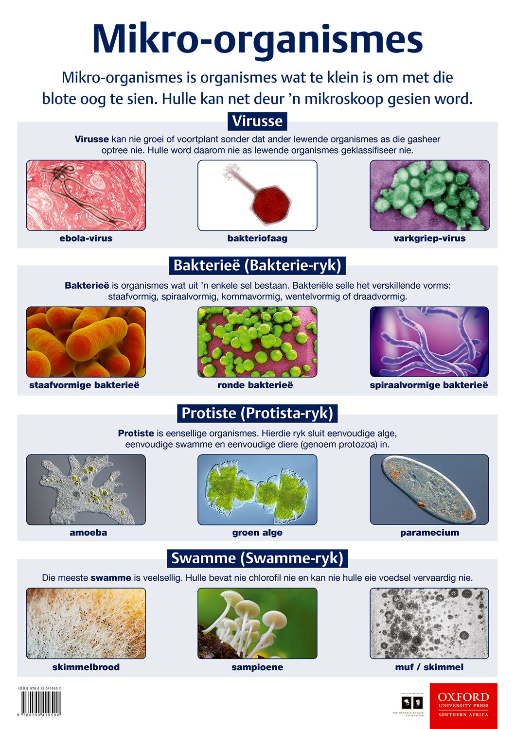 Poster NW Gr8 Mikro-organismes ISBN/SKU: 9780190419592