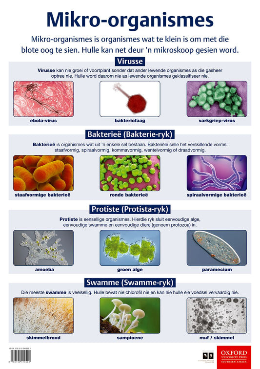 Poster NW Gr8 Mikro-organismes ISBN/SKU: 9780190419592
