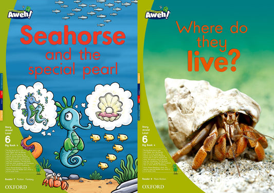 Aweh! English Gr2 L6 BB4 ISBN/SKU: 9780190423971