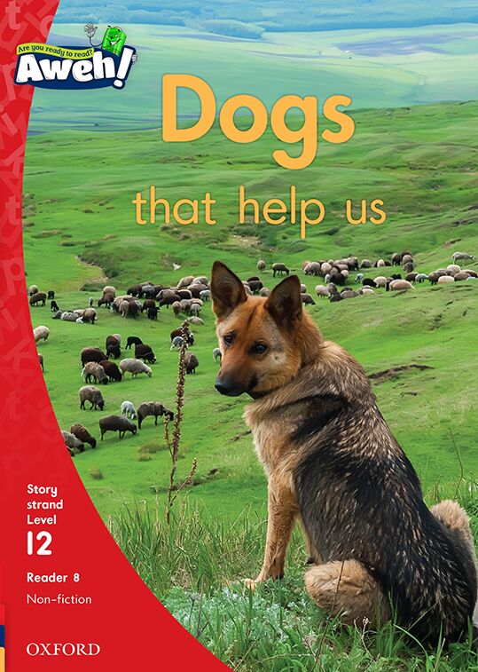 Aweh! English Gr3 L12 Reader8 ISBN/SKU: 9780190424305