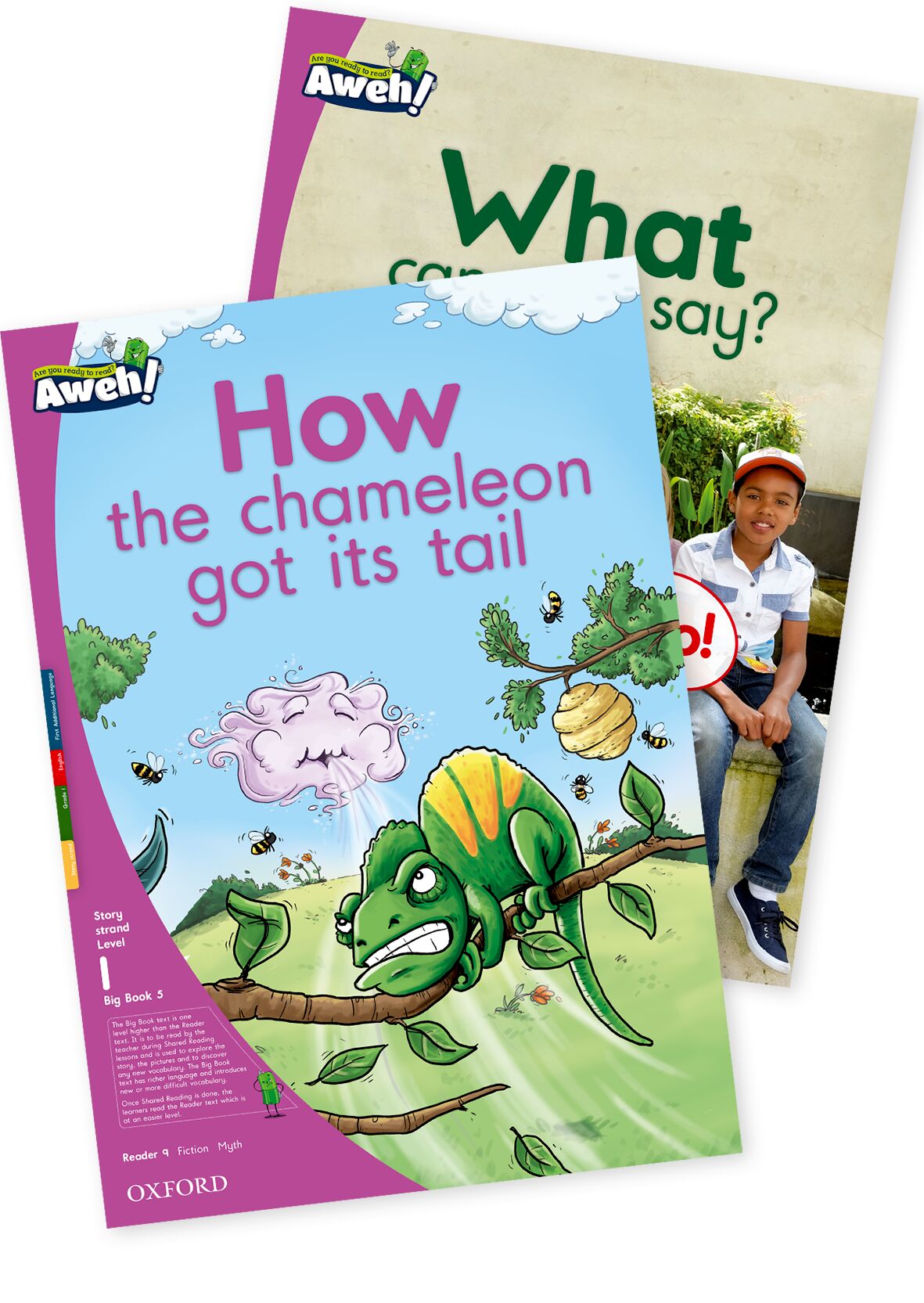 Aweh! English FAL Gr1 L1 BB5 ISBN/SKU: 9780190425067