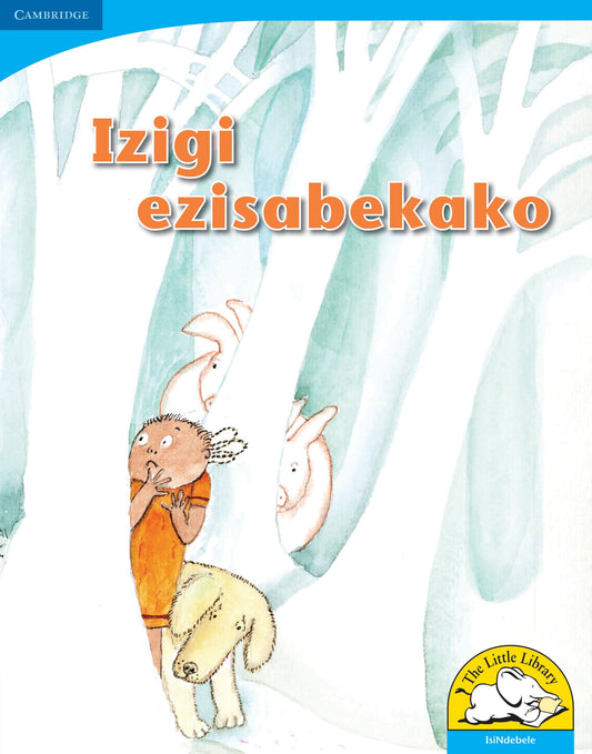 Izigi ezisabekako (Big Book version) ISBN/SKU: 9780521156080