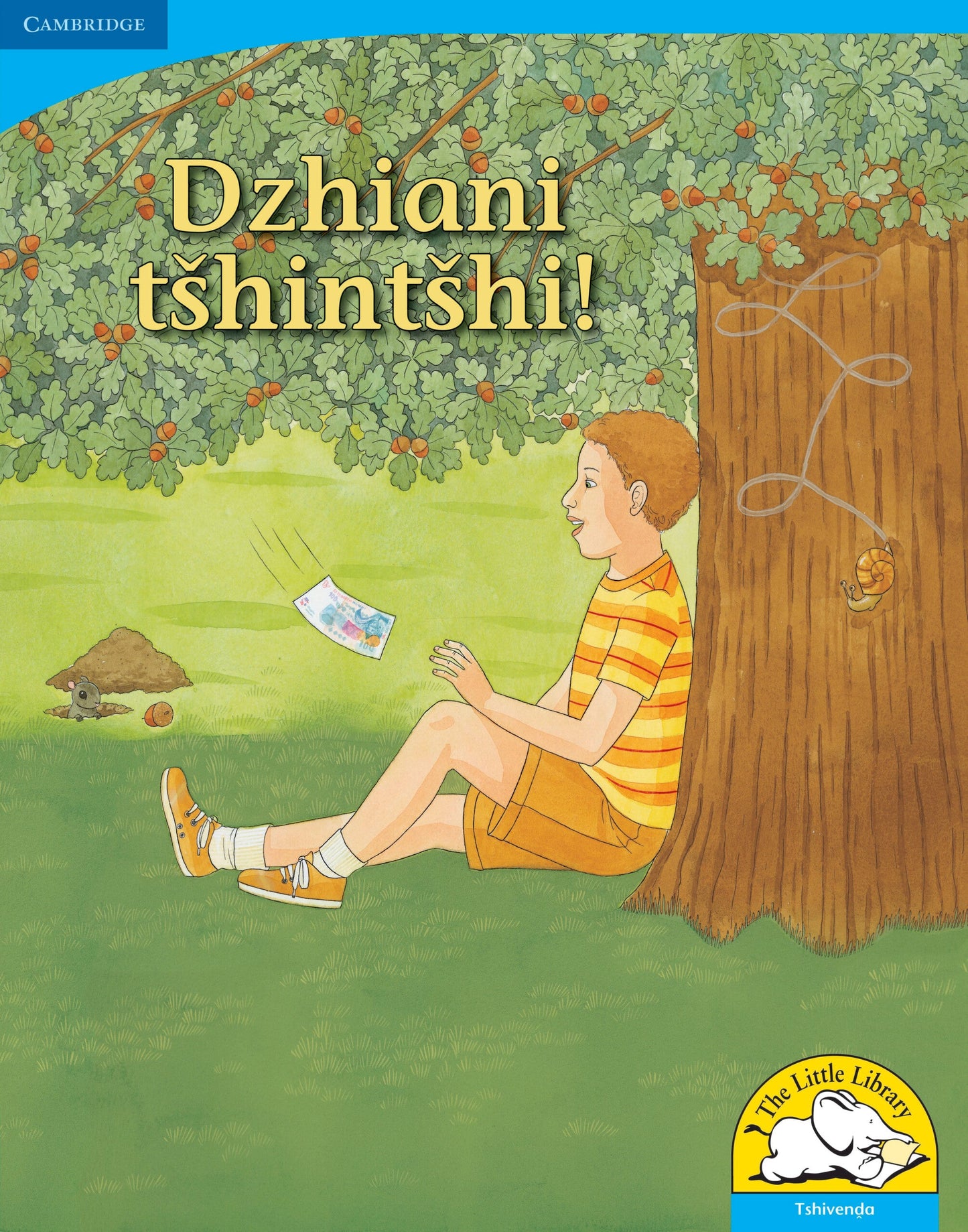Dzhiani tshintshi! (Big Book version) ISBN/SKU: 9780521156790