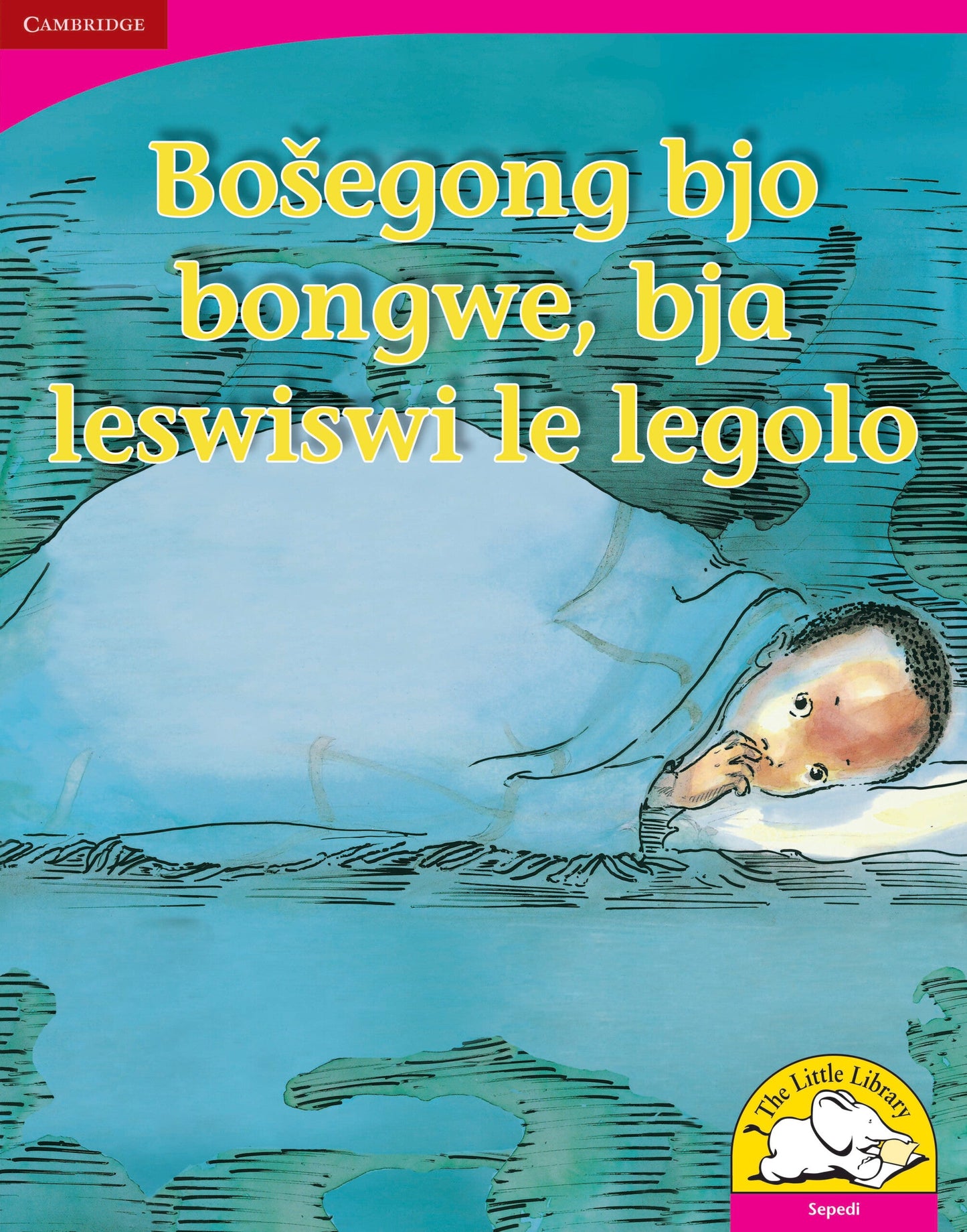 Bosegong bjo bongwe, bja leswiswi le legolo (Big Book version) ISBN/SKU: 9780521165105