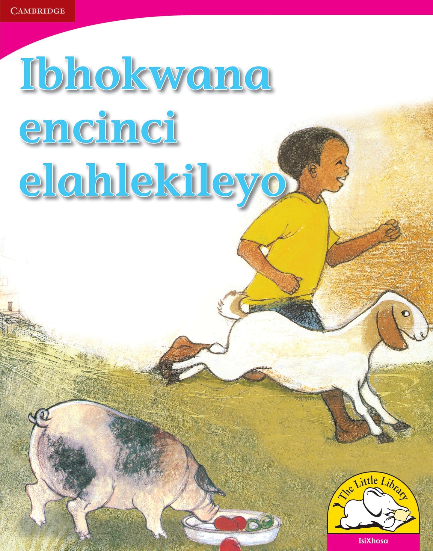 Ibhokwana encinci elahlekileyo (Big Book version) ISBN/SKU: 9780521165358