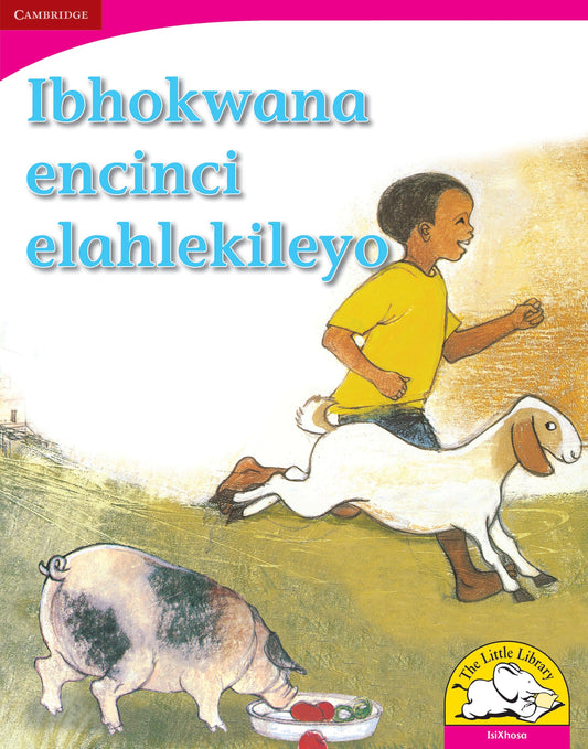 Ibhokwana encinci elahlekileyo (Big Book version) ISBN/SKU: 9780521165358