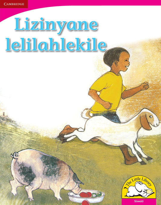 Lizinyane lelilahlekile (Big Book version) ISBN/SKU: 9780521165389
