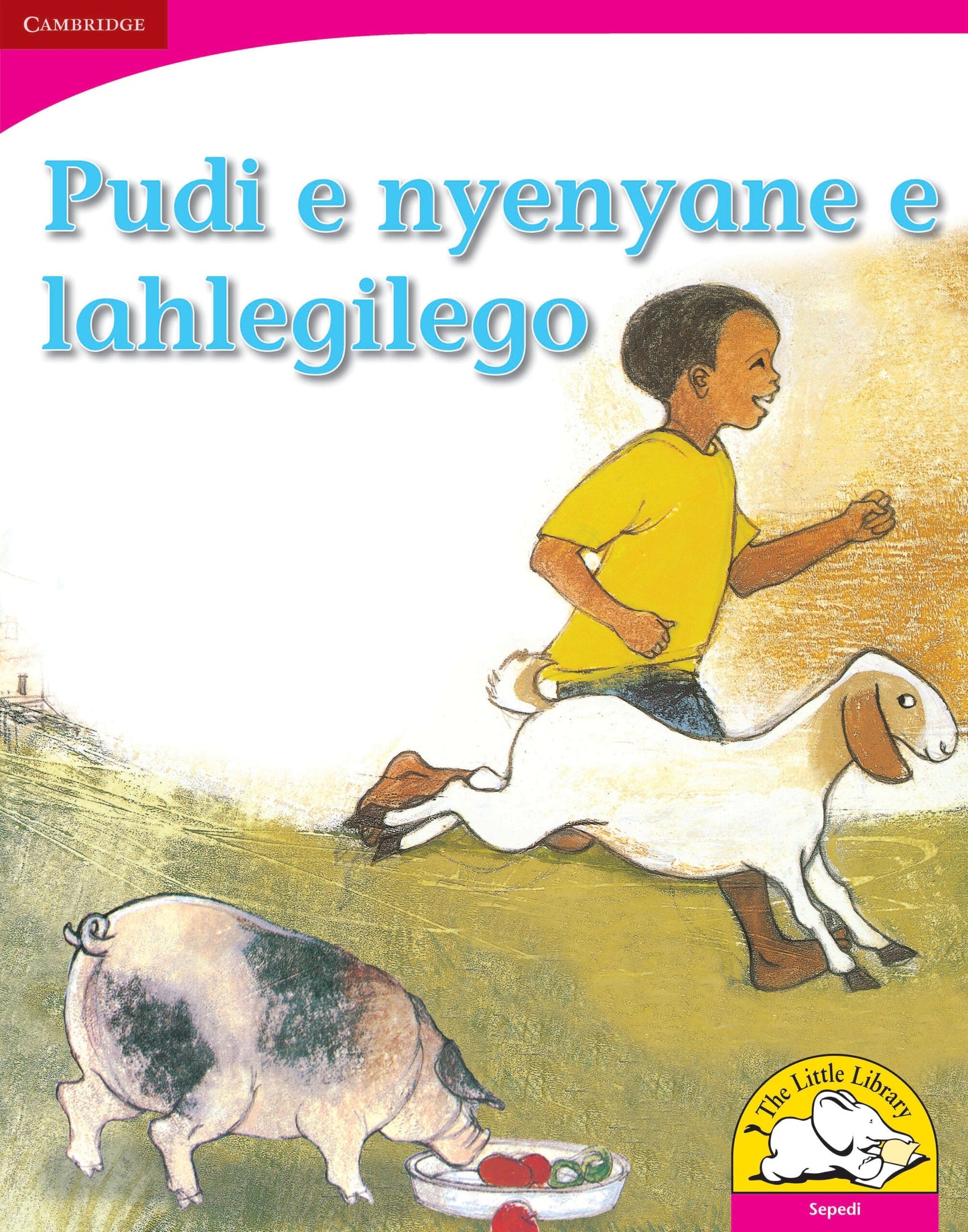 Pudi ye nyenyane ye e lahlegilego (Big Book version) ISBN/SKU: 9780521165419