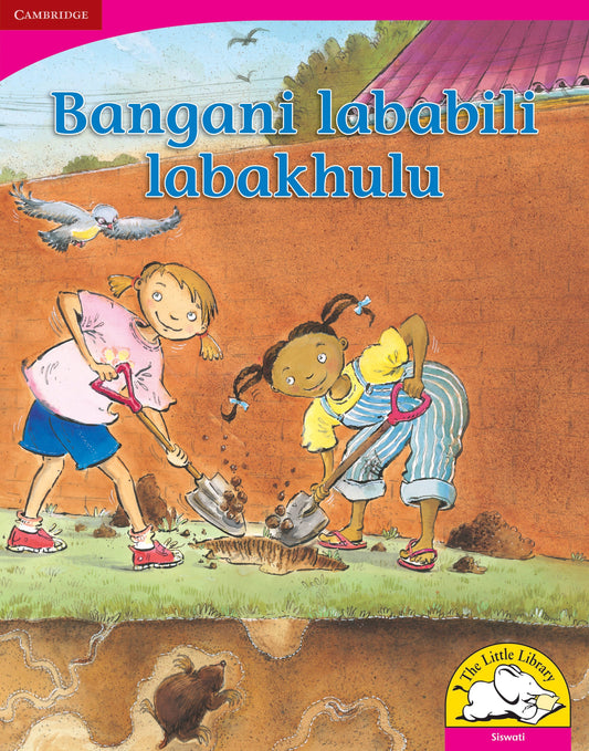 Bangani lababili labakhulu (Big Book version) ISBN/SKU: 9780521166454