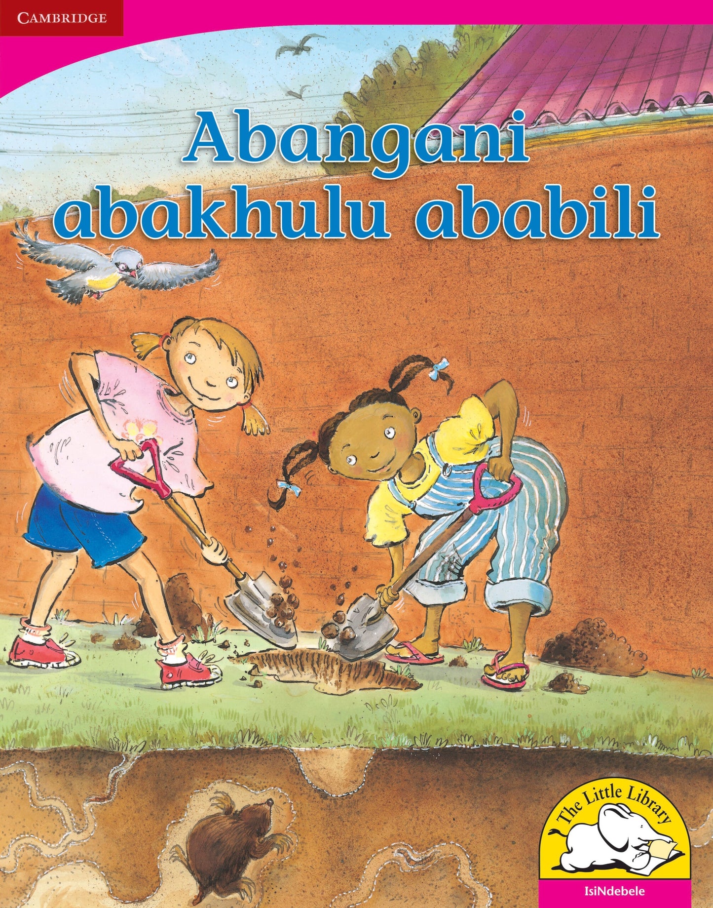 Abangani abakhulu ababili (Big Book version) ISBN/SKU: 9780521166485
