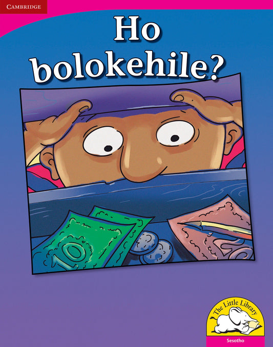 Ho bolokehile? (Big Book version) ISBN/SKU: 9780521166560