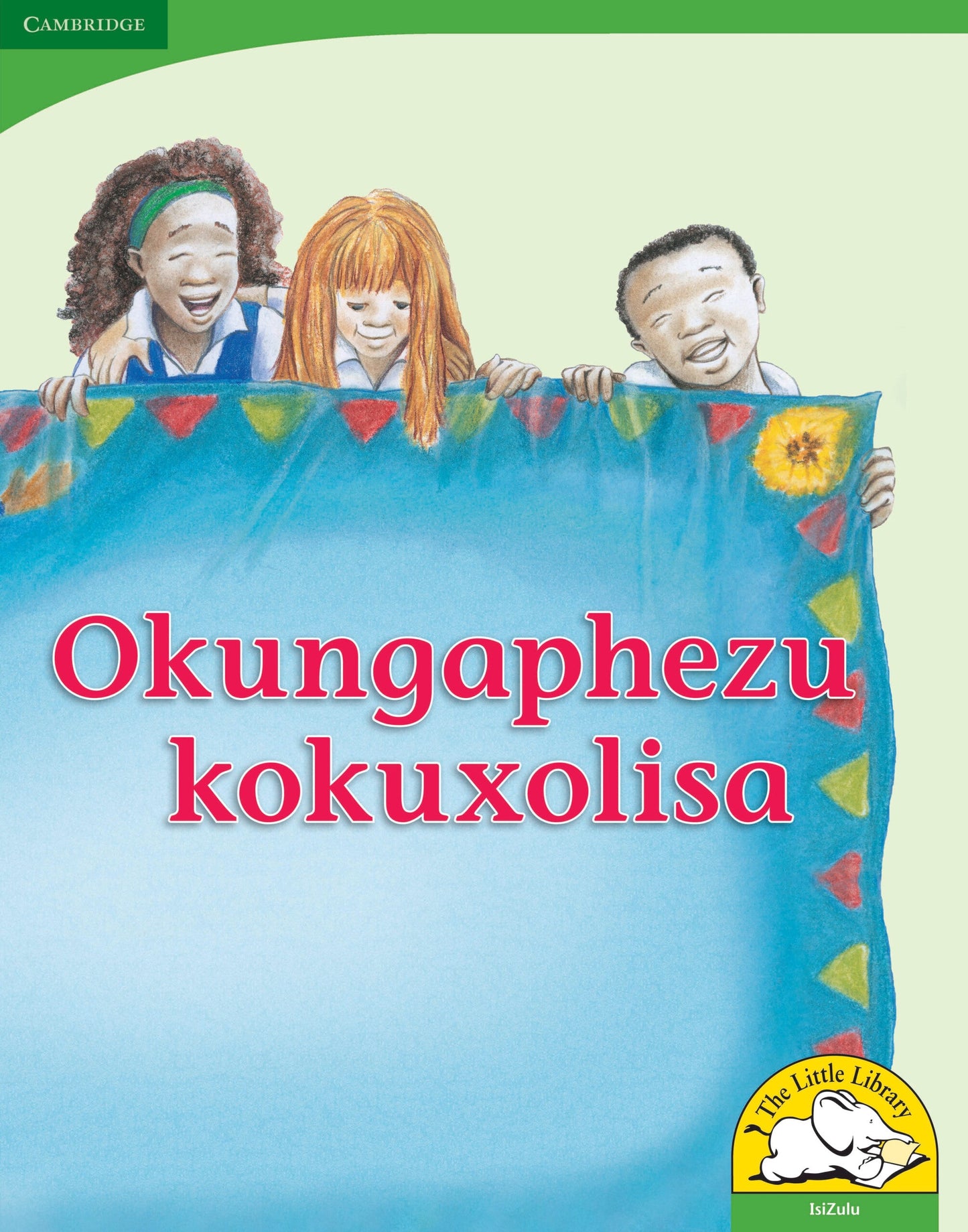Okungaphezu kokuxolisa (Big Book version) ISBN/SKU: 9780521167369