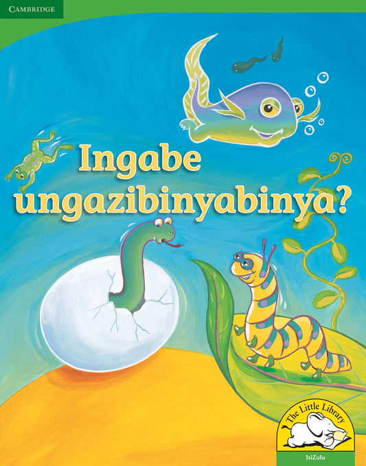 Ingabe ungazibinyabinya? (Big Book version) ISBN/SKU: 9780521167499