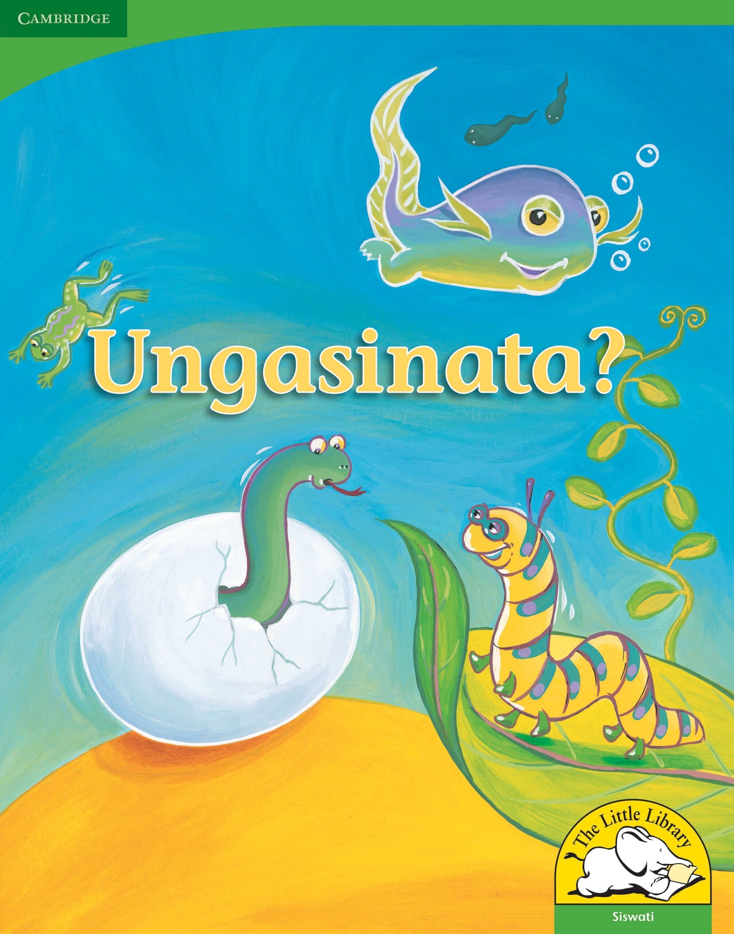 Ungasinata? (Big Book version) ISBN/SKU: 9780521167512