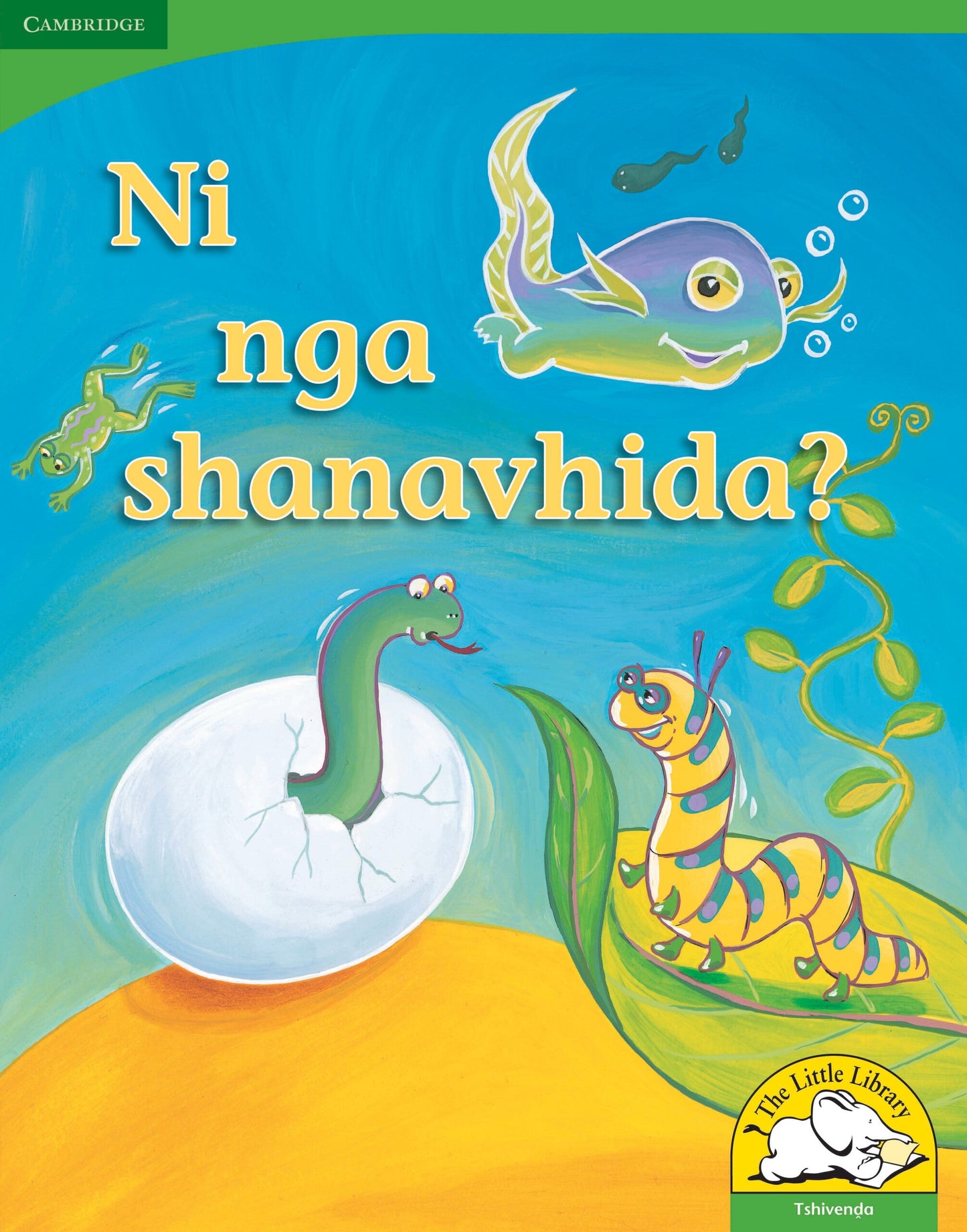 Ni nga shanavhida? (Big Book version) ISBN/SKU: 9780521167529
