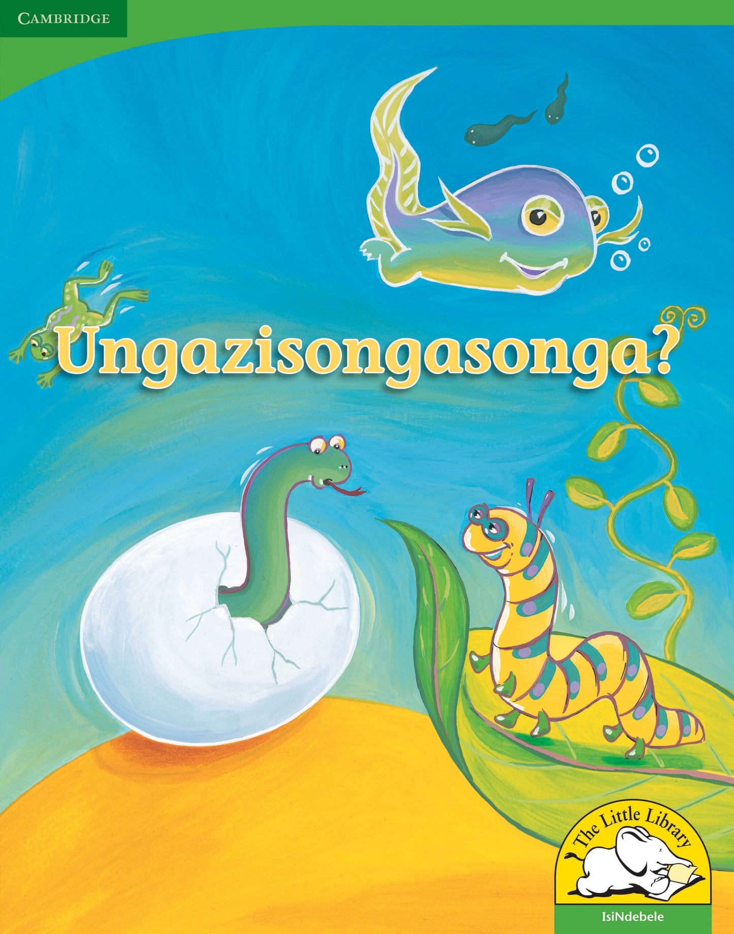 Ungazisongasonga? (Big Book version) ISBN/SKU: 9780521167543