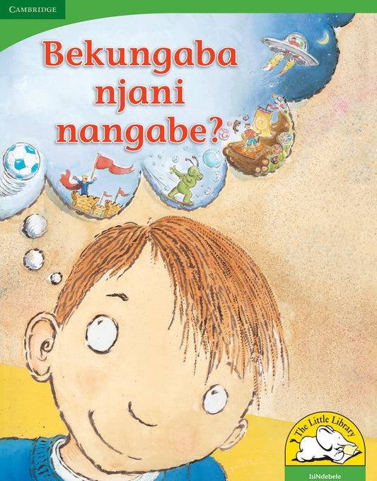 Bekungaba njani nangabe? (Big Book version) ISBN/SKU: 9780521167659