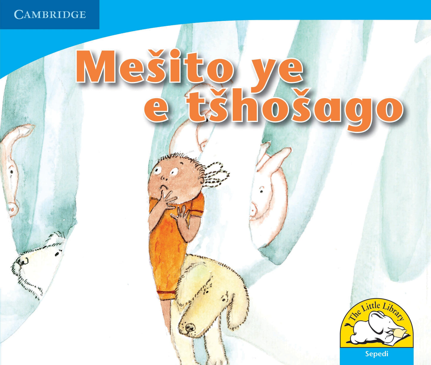 Mesito ye e tshosago ISBN/SKU: 9780521722643